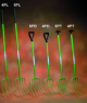 Hi Strength Manure Fork Range