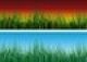 Grass and Sky Design
