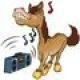 Groovy Horse Design