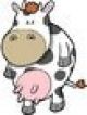 Cow Design