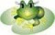 Frog on Leaf Design