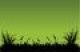 Grass Sillouette Design