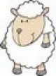 Cute Sheep Design