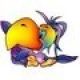 Rainbow Parrot Design