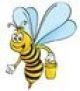 Honey Bee Design