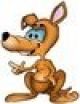 Kangaroo Design