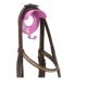 Stubbs Bridle Bracket