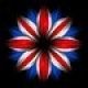 British Flower Design