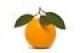Orange Design