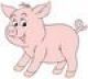 Piglet Design