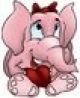 Pink Elephant Design