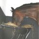 Horse HAY BAR - Black
