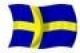 Swedish Flag Design