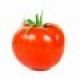 Tomato Design