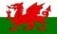 Welsh Flag Design